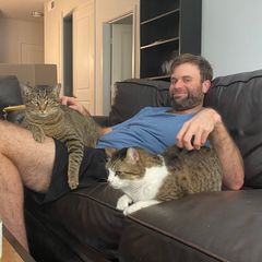 Dante relaxes on the couch with two cats.